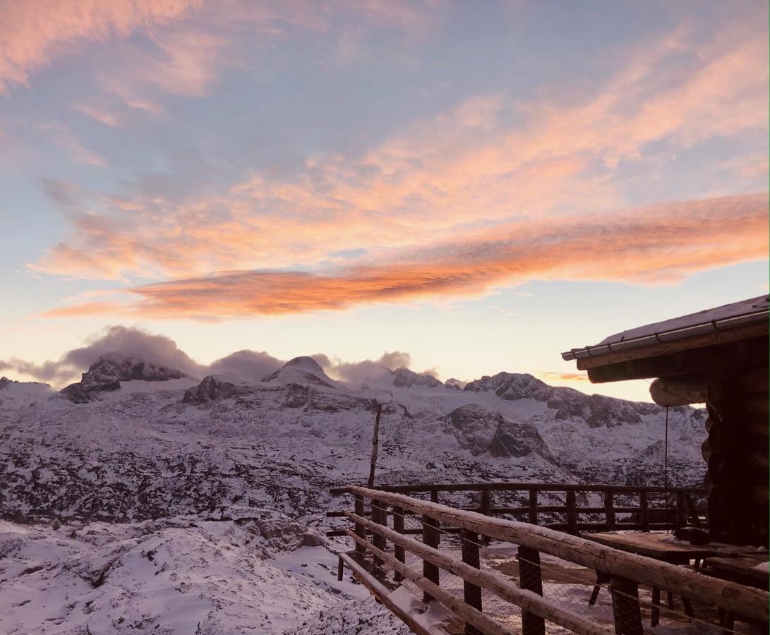 Lodge Am Krippenstein Obertraun Dış mekan fotoğraf