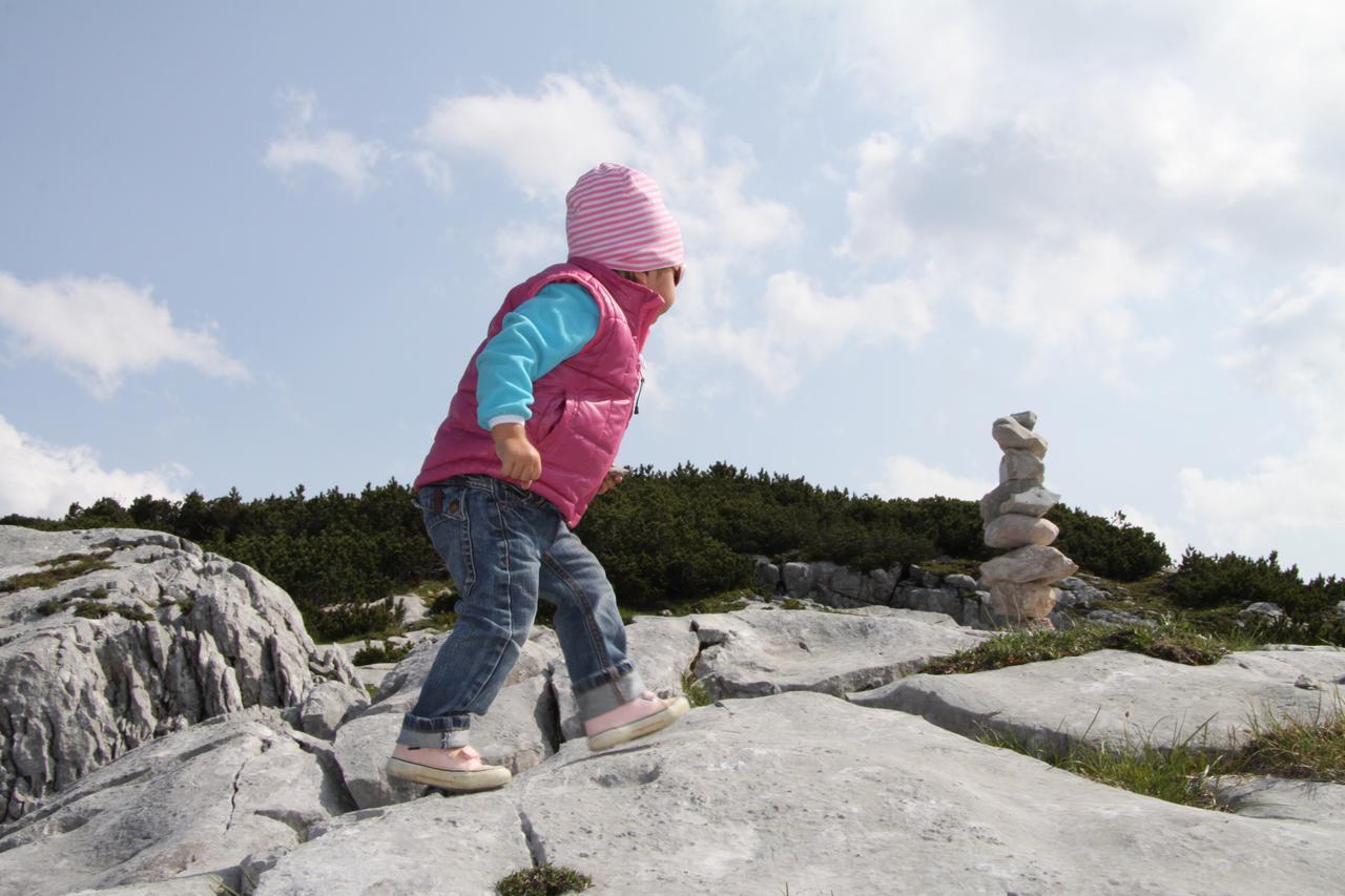 Lodge Am Krippenstein Obertraun Dış mekan fotoğraf