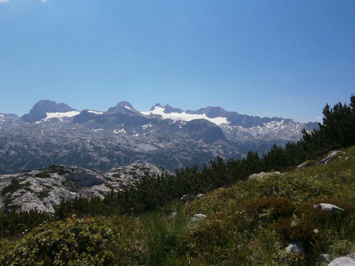 Lodge Am Krippenstein Obertraun Dış mekan fotoğraf